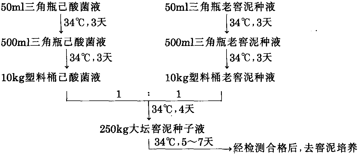 第一節(jié) 己酸菌培養(yǎng)及應(yīng)用